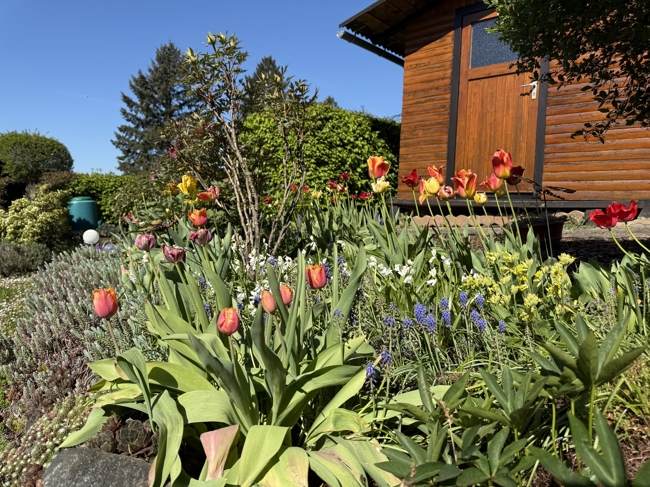 Garten Einfamilienhaus Leun